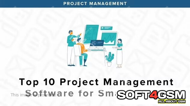 Project Management Software Solutions