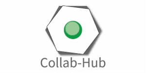 TeamCollabHub Interface